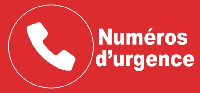 A partir du 01 avril 2026 : Nuit en semaine de 19h à 8h15 : 0366324242 Les gardes de nuit sont assurées par la Clinique Vet Haut-de-France au 802 boulevard [&hellip;]
